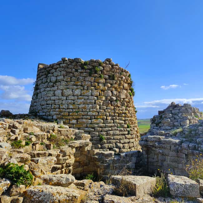 Immagine nº 8 di Il tour del nuraghe: Escursione di un giorno da Cagliari attività a Comune di Suelli, caricata dal fornitore
