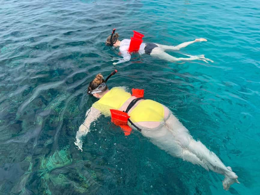 Image N°62 de Nassau : Plongée en apnée dans les récifs, tortues, déjeuner et club de plage privé activité à Bahamas, publiée par le prestataire