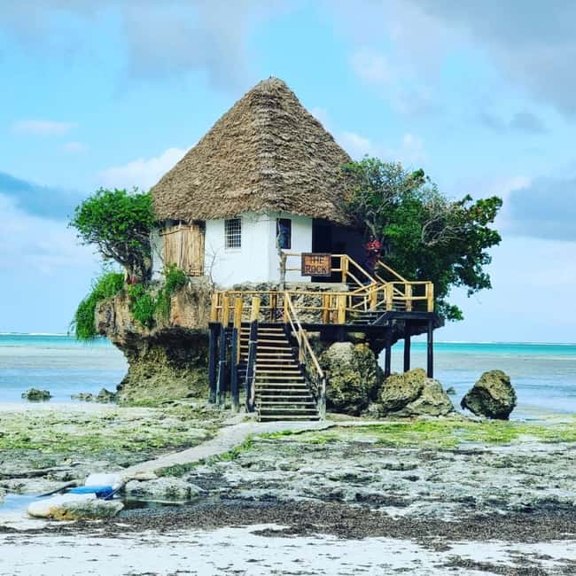 image n.16 of Kiwengwa/Zanzibar: Mnemba, Kuza Cave & Jozani Forest Tour activity in Jambiani, uploaded by supplier