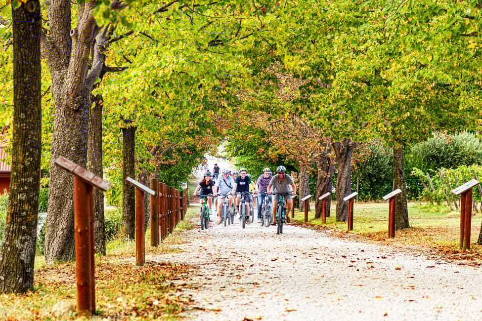 изображение номер 7 мероприятия Экскурсия с дегустацией вин с оливковым маслом и салями в городе Римини, загруженное организатором