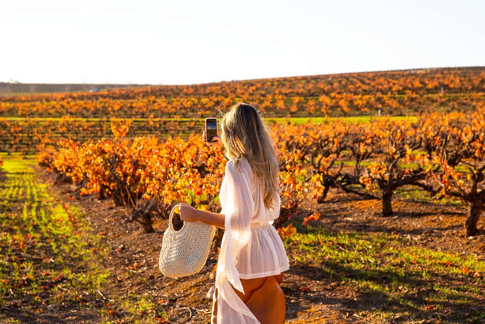imagen n.º 10 de Barossa: Excursión en grupo reducido, almuerzo y cata de vinos Premium actividad en Australia Meridional, subida por el proveedor