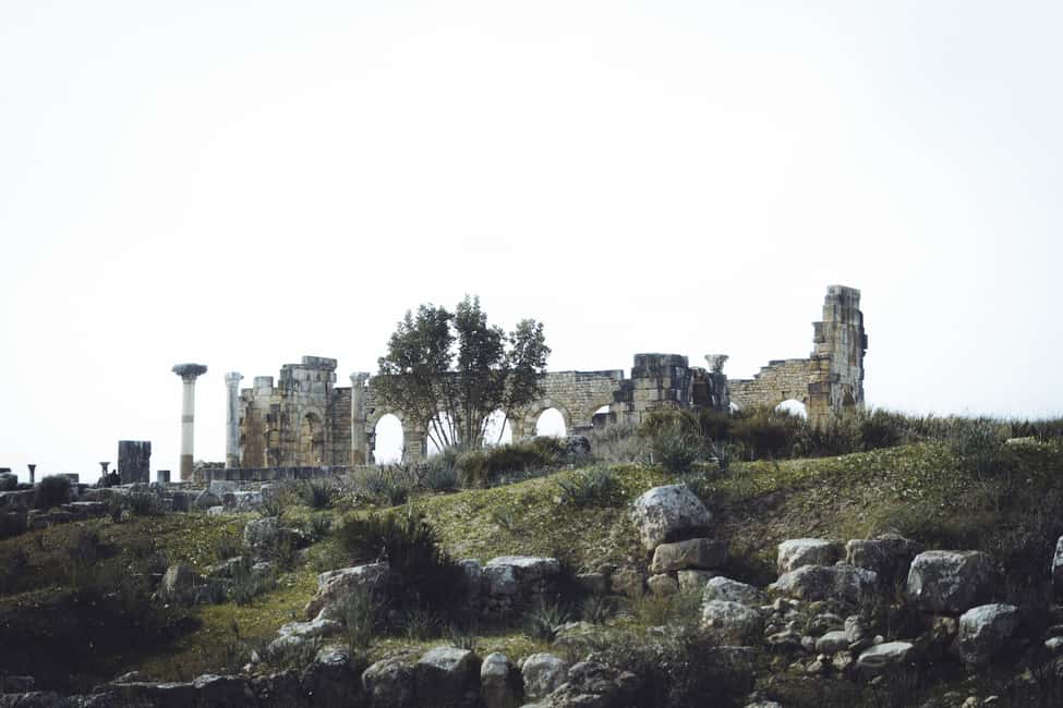 billede nr.4 af aktiviteten Fra Fes: Volubilis, Moulay Idriss og Meknes heldagstur i Meknès, uploadet af udbyder