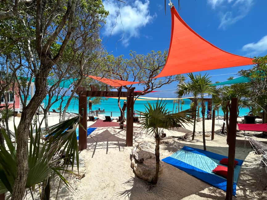 Image N°75 de Nassau : Plongée en apnée dans les récifs, tortues, déjeuner et club de plage privé activité à Bahamas, publiée par le prestataire