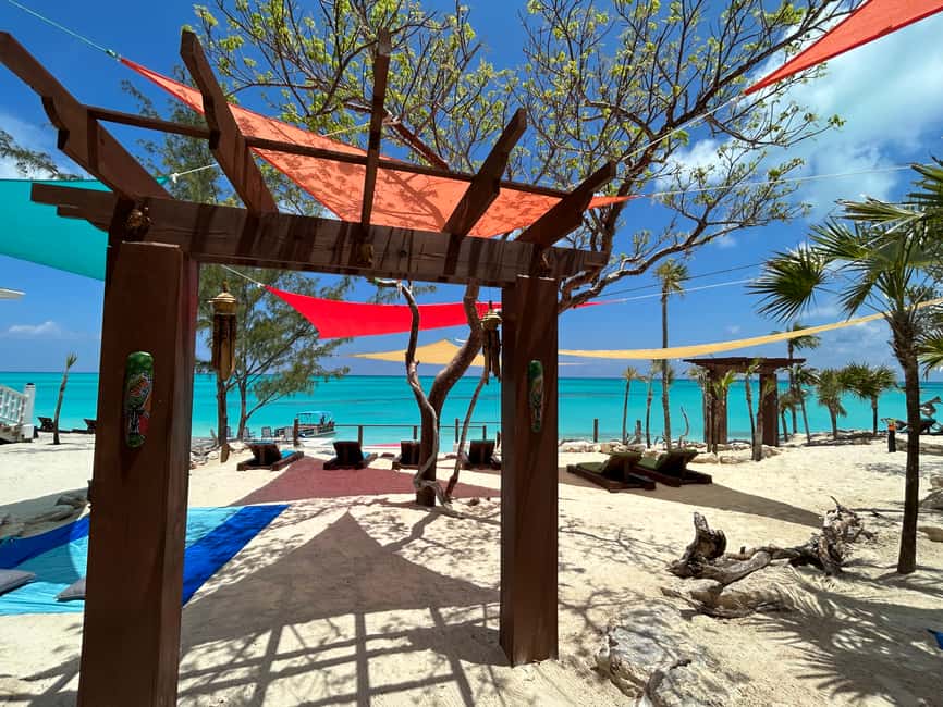 Image N°76 de Nassau : Plongée en apnée dans les récifs, tortues, déjeuner et club de plage privé activité à Bahamas, publiée par le prestataire