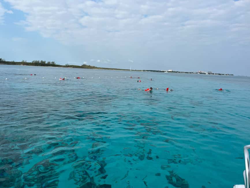 Image N°13 de Nassau : Plongée en apnée dans les récifs, tortues, déjeuner et club de plage privé activité à Bahamas, publiée par le prestataire
