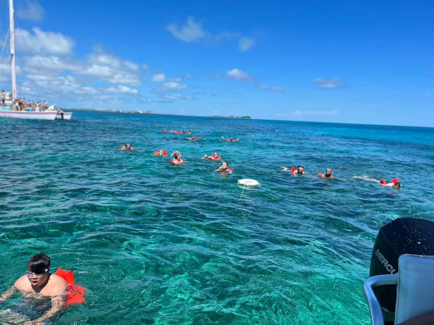 Image N°15 de Nassau : Plongée en apnée dans les récifs, tortues, déjeuner et club de plage privé activité à Bahamas, publiée par le prestataire