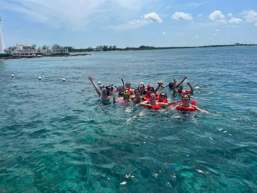 Image N°79 de Nassau : Cochons, plongée en apnée, tortues, déjeuner, club de plage privé activité à New Providence, publiée par le prestataire