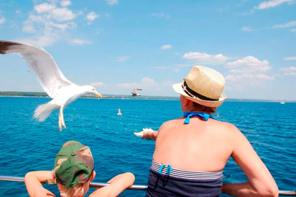 image n.11 of Pula: National Park Brijuni Island Visit & Dolphin Cruise activity in Pula, uploaded by supplier