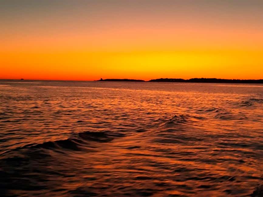 image n.30 of Pula: National Park Brijuni Island Visit & Dolphin Cruise activity in Pula, uploaded by supplier