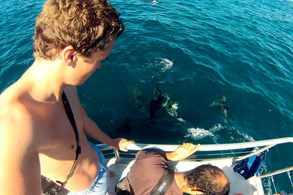 image n.12 of Pula: National Park Brijuni Island Visit & Dolphin Cruise activity in Pula, uploaded by supplier