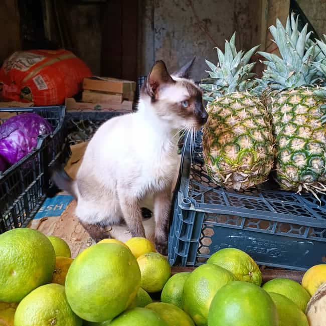 image n.29 of Cook Yucatán Food with your Merida Mom! (PDF Included!) activity in Mérida, uploaded by supplier
