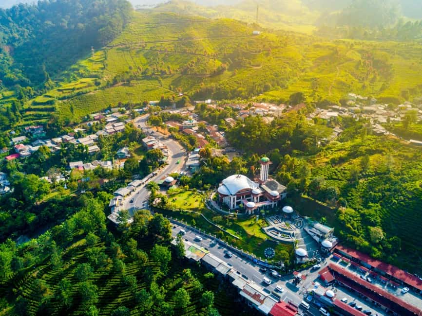 image n.7 of From Jakarta: Safari Park, Tea Plantation & Jaksa Waterfall activity in Bogor, uploaded by supplier