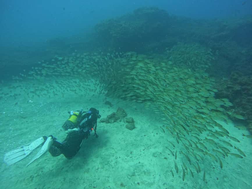 image n.3 of Playa Del Ingles: Discover Scuba Diving - Free Transfers activity in Maspalomas, uploaded by supplier