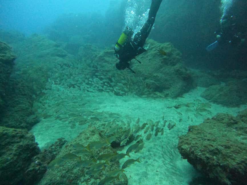 image n.5 of Playa Del Ingles: Discover Scuba Diving - Free Transfers activity in Maspalomas, uploaded by supplier