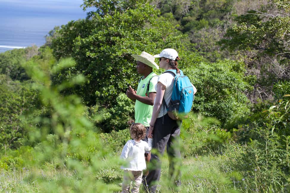 image n.11 of Le Morne Brabant : Mountain Hike with Local Guides activity in Mauritius, uploaded by supplier