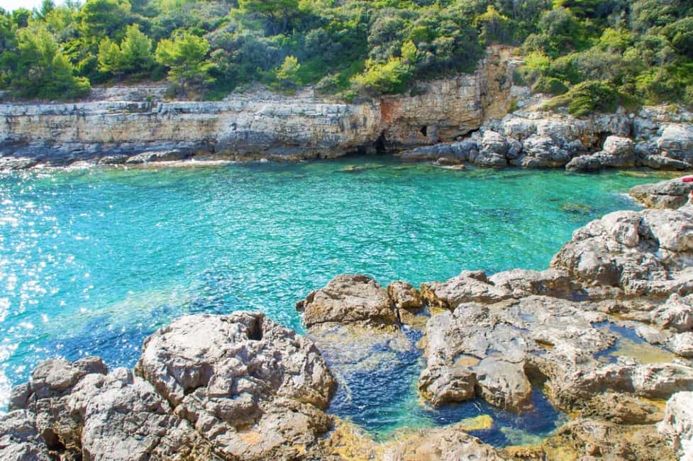 Bild Nr. 7 von Von Fažana aus: Schnorcheln in der Meereshöhle und auf der Insel Brijuni Aktivität in Pula, Kroatien, hochgeladen vom Anbieter