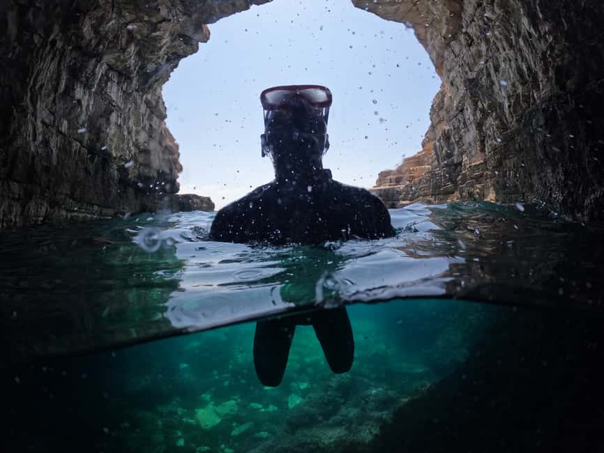 Bild Nr. 8 von Von Fažana aus: Schnorcheln in der Meereshöhle und auf der Insel Brijuni Aktivität in Pula, Kroatien, hochgeladen vom Anbieter