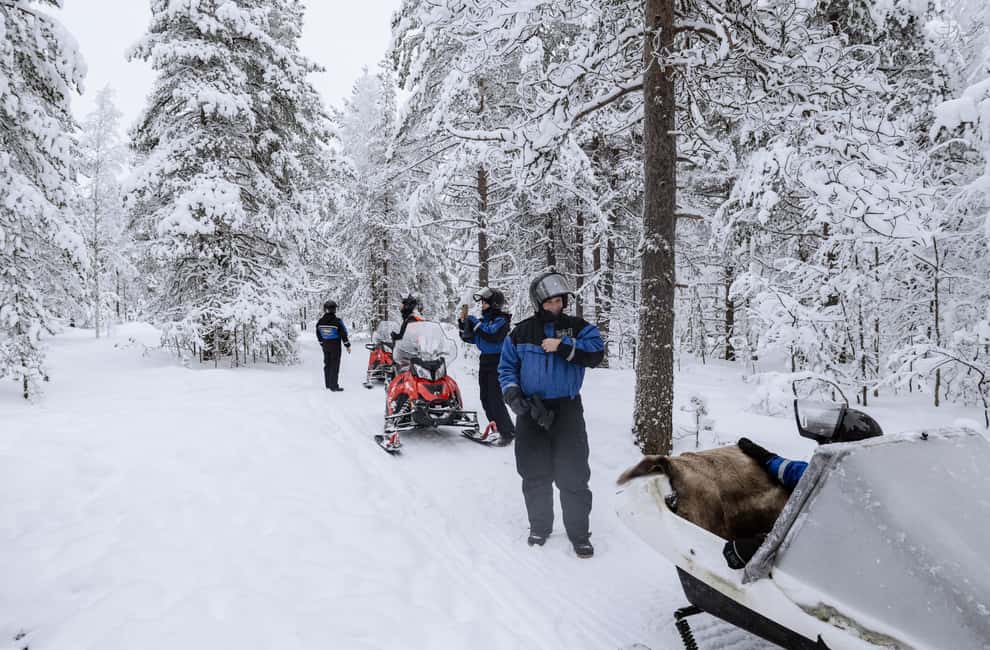 image n.11 of Rovaniemi: Easy Snowmobile Safari activity in Rovaniemi, uploaded by supplier