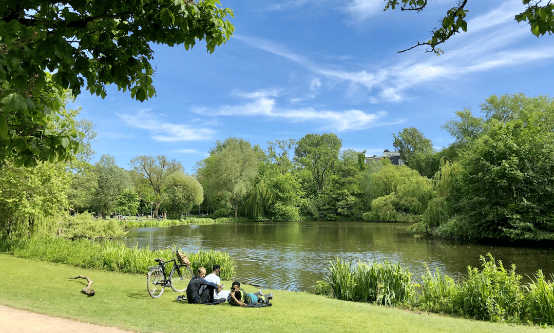 Immagine nº 8 di Amsterdam: Tour della città in bicicletta in tedesco o in inglese (privato) attività a Amsterdam, caricata dal fornitore