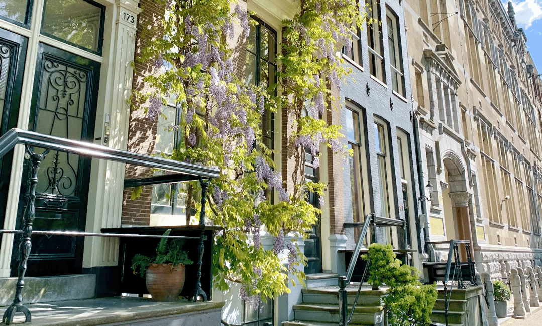 Immagine nº 9 di Amsterdam: Tour della città in bicicletta in tedesco o in inglese (privato) attività a Amsterdam, caricata dal fornitore