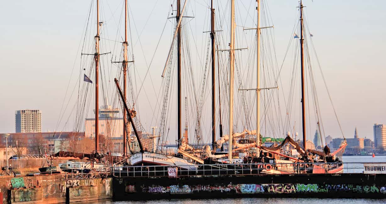 Immagine nº 5 di Amsterdam: Tour in bicicletta (Noord) in tedesco o in inglese attività a Amsterdam, caricata dal fornitore