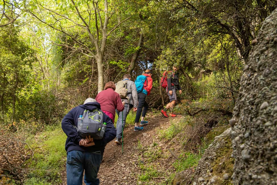 image n.13 of Kalabaka: Meteora Small-Group Hiking Tour w/ Monastery Visit activity in Thessaly, uploaded by supplier