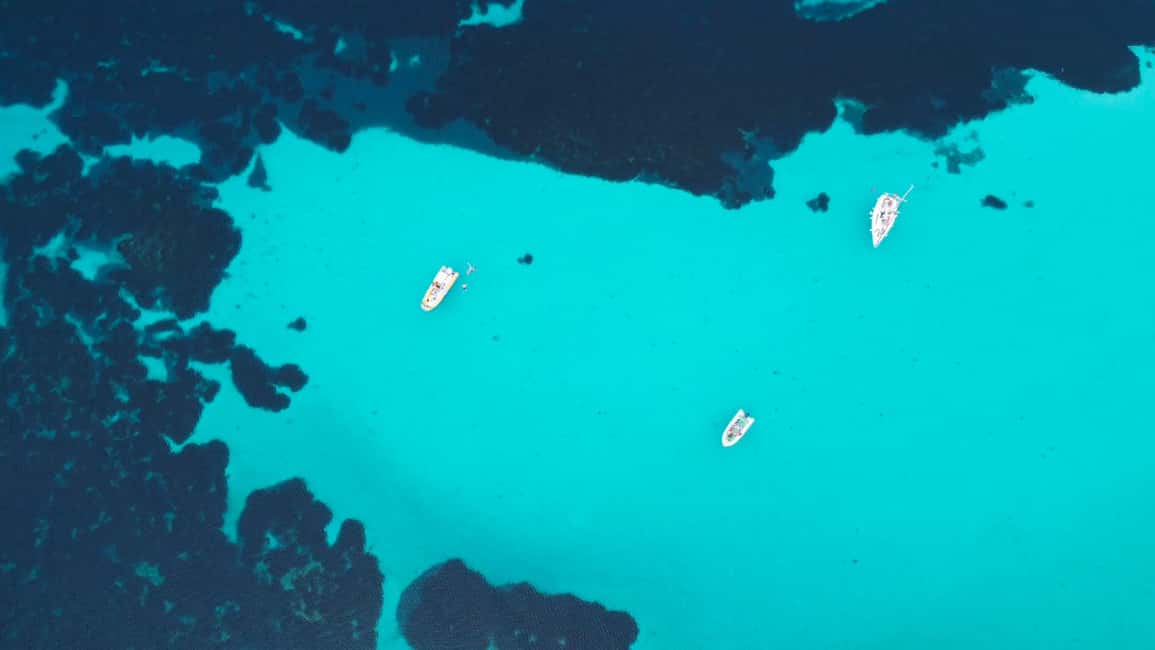 image n.12 of Asinara: Full Day Sailboat Excursion from Stintino activity in Sardinia, uploaded by supplier