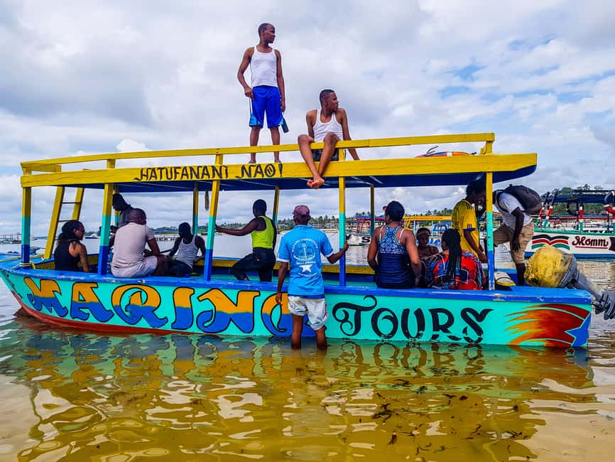 image n.11 of Blue Safari: Snorkeling at Watamu Marine Park & Seafood activity in Coast Province, uploaded by supplier