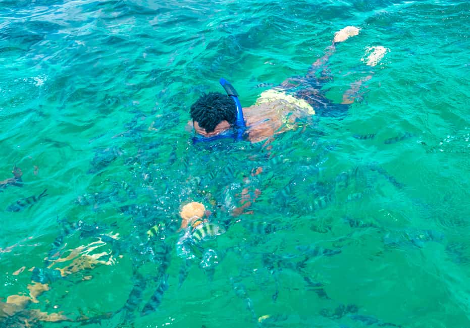 image n.1 of Blue Safari: Snorkeling at Watamu Marine Park & Seafood activity in Coast Province, uploaded by supplier