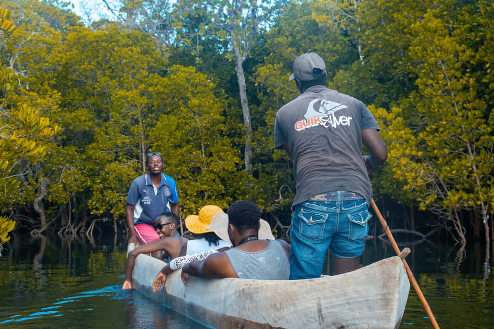image n.19 of Blue Safari: Snorkeling at Watamu Marine Park & Seafood activity in Coast Province, uploaded by supplier
