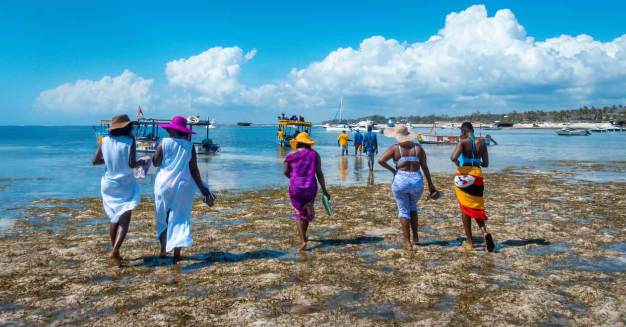 image n.22 of Blue Safari: Snorkeling at Watamu Marine Park & Seafood activity in Coast Province, uploaded by supplier