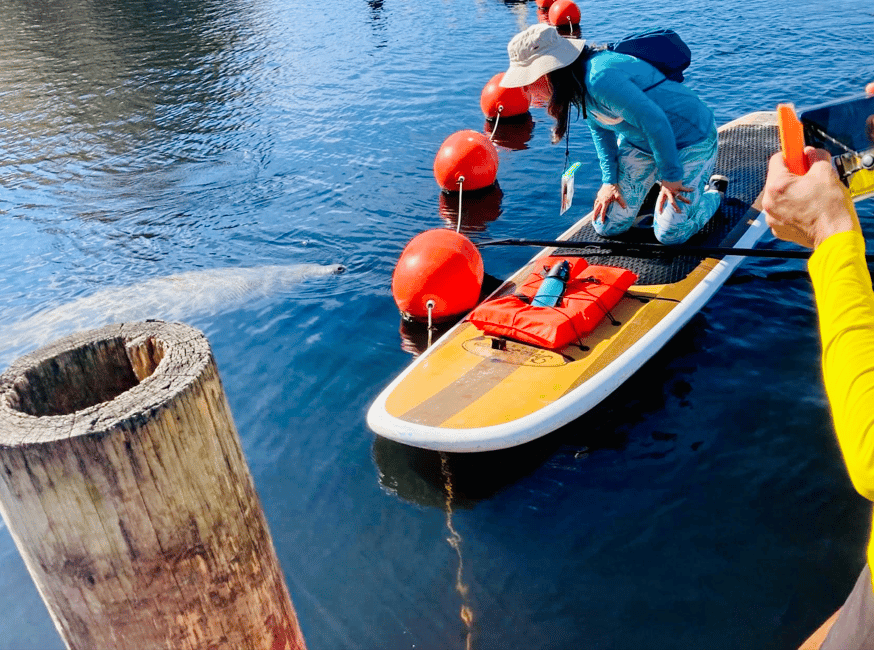 bild nr.5 av Orange City: Blue Spring State Park SUP & Kayaking Tour aktivitet i Florida, uppladdad av arrangören