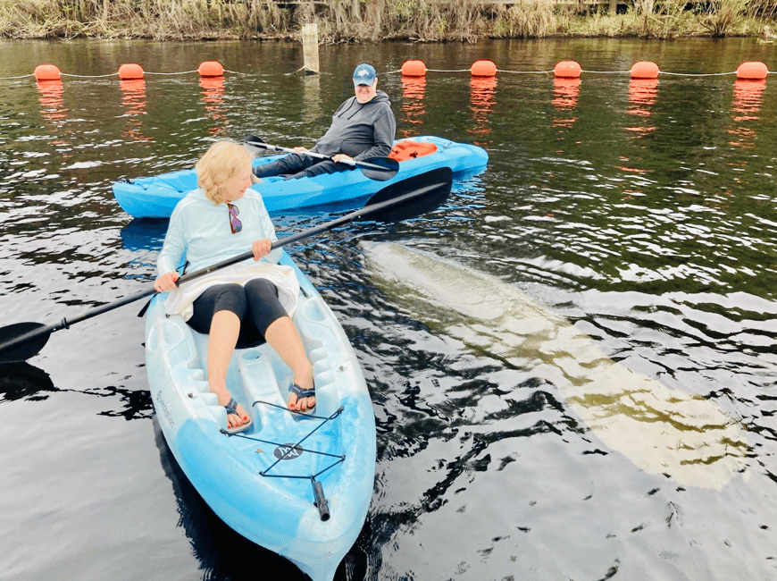 bild nr.6 av Orange City: Blue Spring State Park SUP & Kayaking Tour aktivitet i Florida, uppladdad av arrangören
