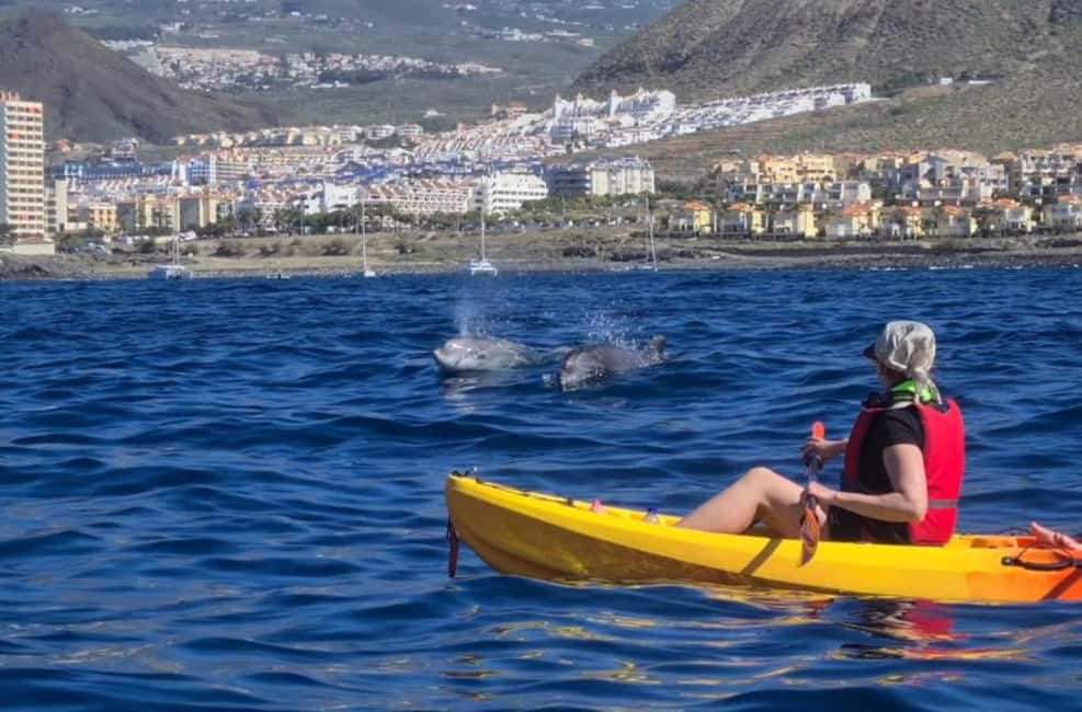 image n.1 of Tenerife: Kayak Safari and Sea Turtle Snorkeling with Photos activity in Arona, Tenerife, uploaded by supplier