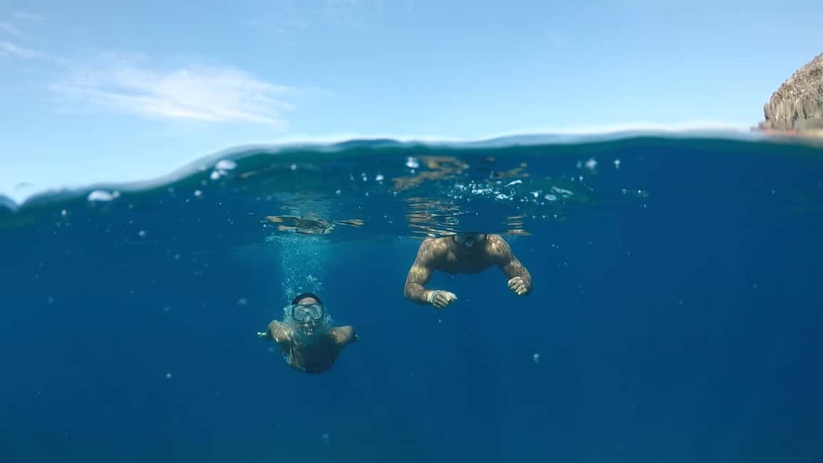 image n.14 of Tenerife: Kayak Safari and Sea Turtle Snorkeling with Photos activity in Arona, Tenerife, uploaded by supplier
