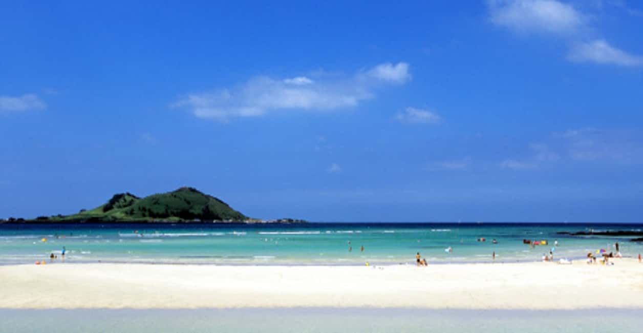 image n.6 of Jeju Island: Private Car Charter Tour activity in Jeju-si, uploaded by supplier