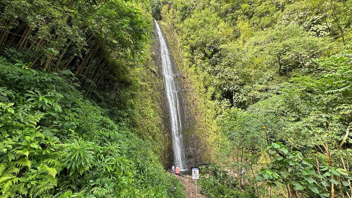Immagine nº 1 di Cascate di Manoa eBike to Hike attività a Honolulu, caricata dal fornitore