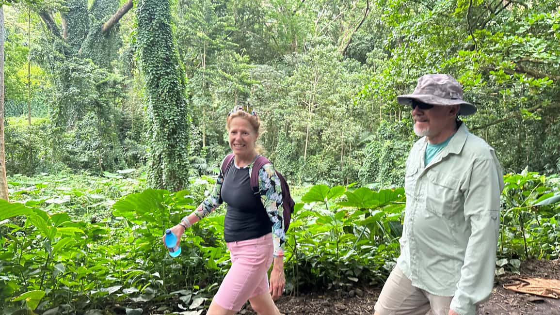 Immagine nº 5 di Cascate di Manoa eBike to Hike attività a Honolulu, caricata dal fornitore