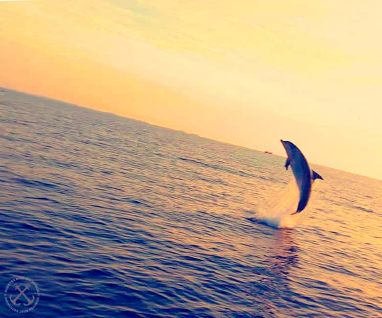 image n.25 of Pula: National Park Brijuni Island Visit & Dolphin Cruise activity in Pula, uploaded by supplier