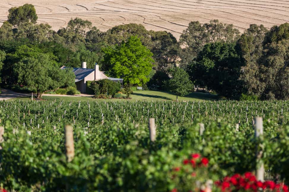 imagen n.º 17 de Barossa: Excursión en grupo reducido, almuerzo y cata de vinos Premium actividad en Australia Meridional, subida por el proveedor