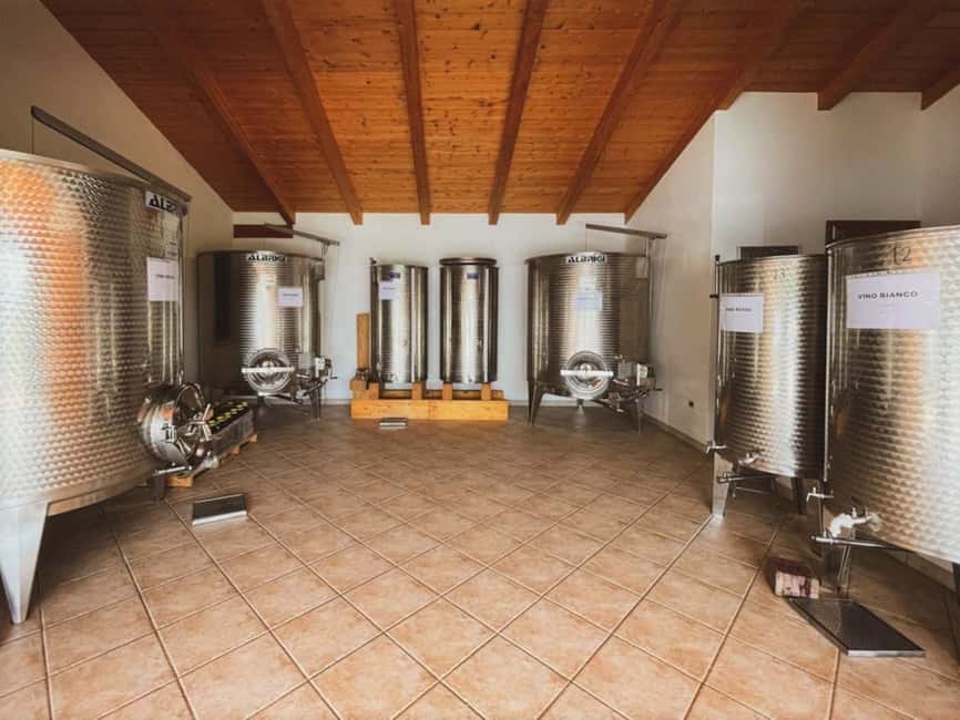 Immagine nº 13 di Alghero: degustazione vini con aperitivo locale in vigna attività a Alghero, caricata dal fornitore