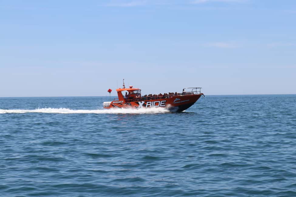 image n.10 of Albufeira: Dolphin Watching and Benagil Cave activity in Benagil, uploaded by supplier