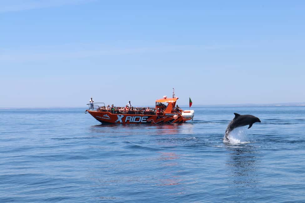image n.1 of Albufeira: Dolphin Watching and Benagil Cave activity in Benagil, uploaded by supplier