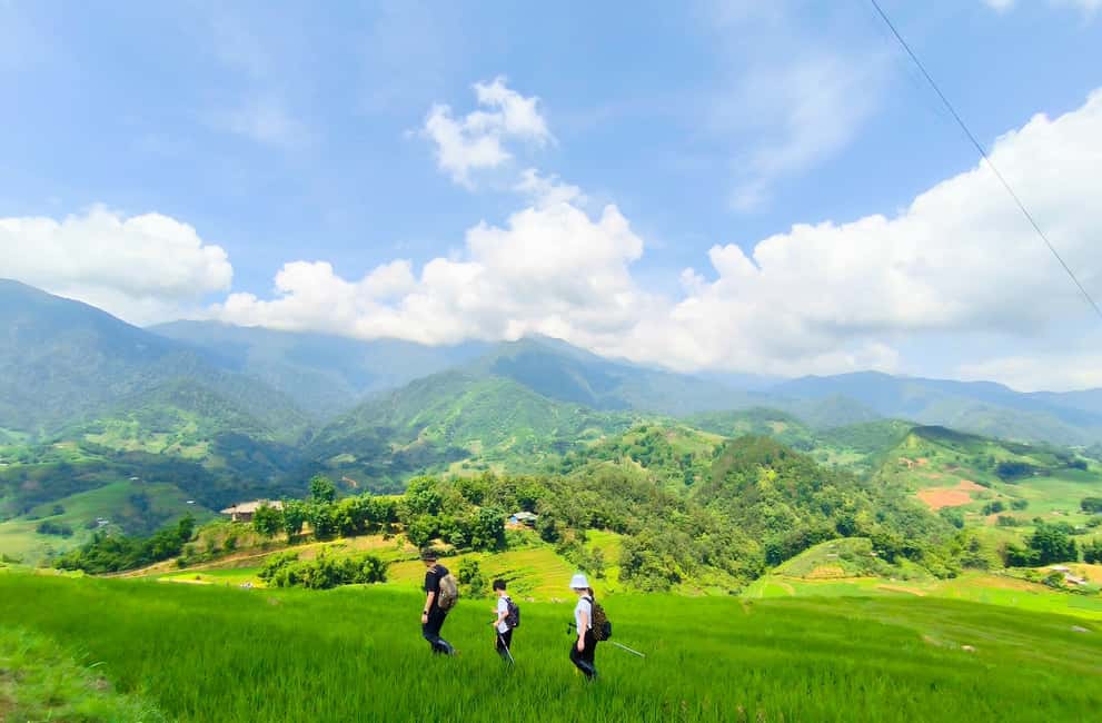 Bild Nr. 7 von Von Hanoi: 2-tägige Sapa Trek Tour - Luxus-Limousinen-Transfer Aktivität in Sa Pa, hochgeladen vom Anbieter