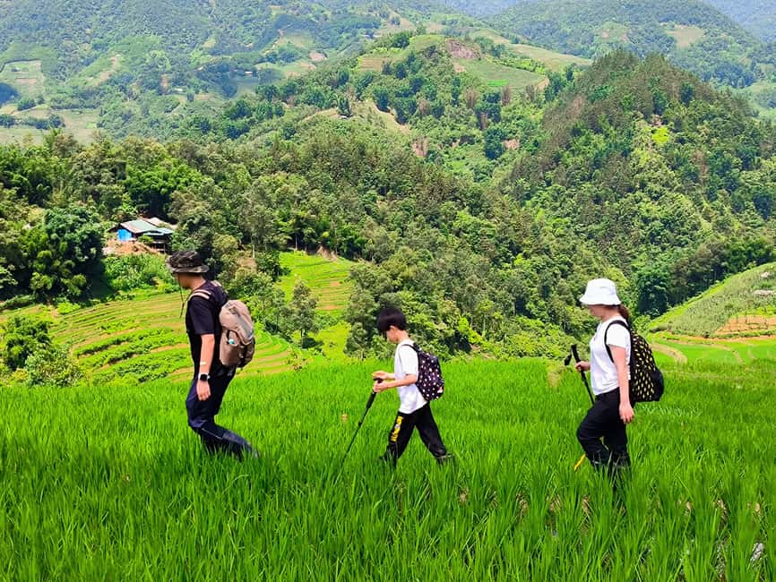 Bild Nr. 6 von Von Hanoi: 2-tägige Sapa Trek Tour - Luxus-Limousinen-Transfer Aktivität in Sa Pa, hochgeladen vom Anbieter
