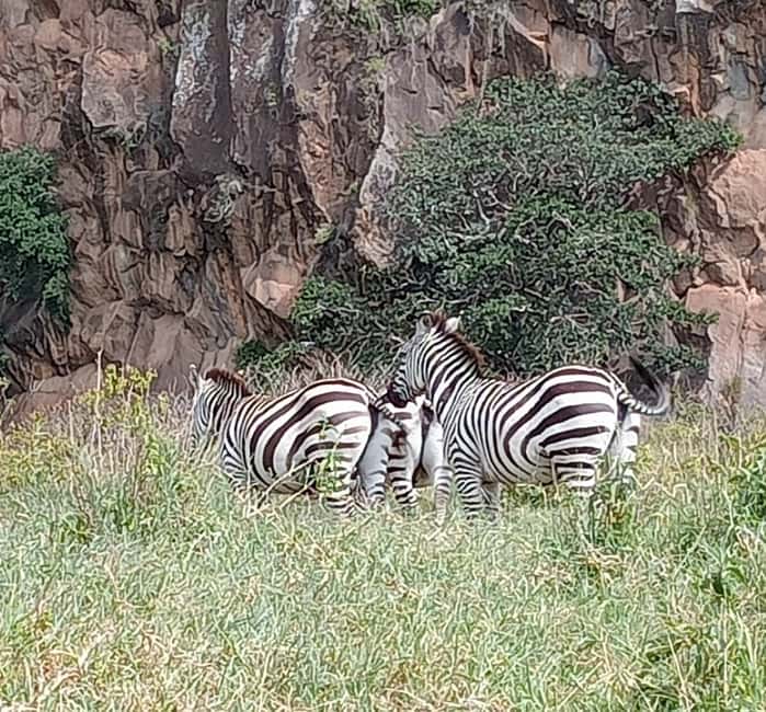 image n.4 of DAY TOUR- LAKE NAIVASHA AND HELL'S GATE PARK-WITH PARK FEES activity in Nakuru, uploaded by supplier