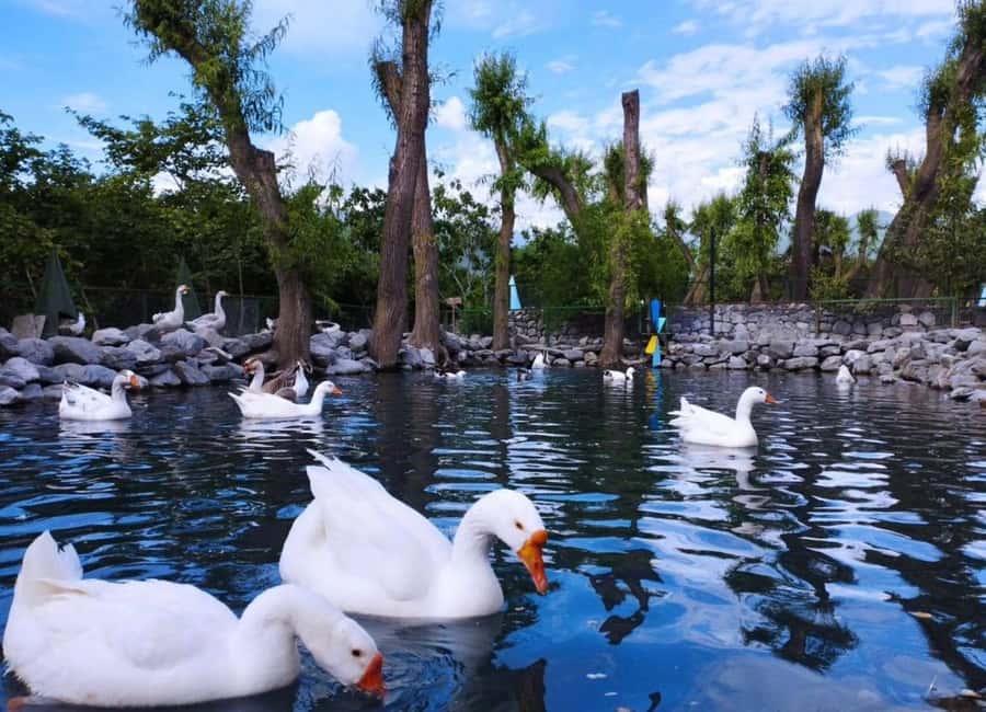 bild nr.3 av Sheki Natur & Äventyr Privat Tur (Zipline,ATV,Off-road) aktivitet i Kish, Azerbajdzjan, uppladdad av arrangören