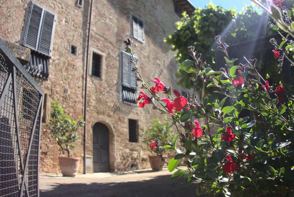 Bild Nr. 6 von Bio-Wein- und Lebensmittelverkostung in der historischen Fattoria Majnoni Aktivität in San Gimignano, hochgeladen vom Anbieter