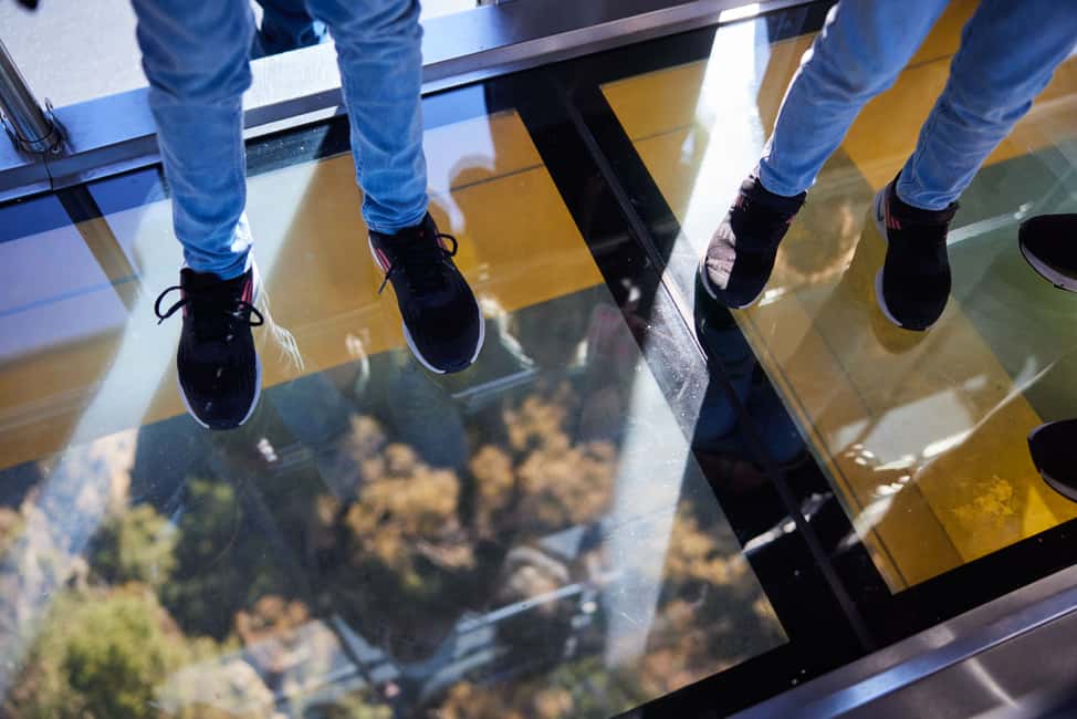 bild nr.30 av Från Sydney: Blue Mountains, Scenic World, Zoo och färjetur aktivitet i Sydney, uppladdad av arrangören