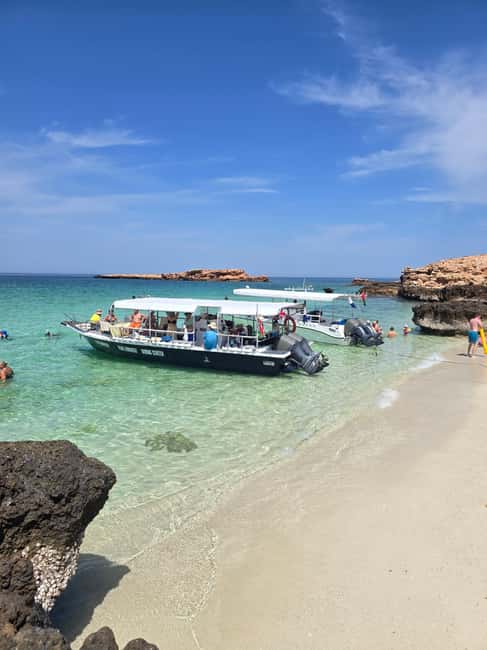 Immagine nº 47 di Isola di Daymaniyat: tour di snorkeling con pranzo gustoso attività a Seeb, caricata dal fornitore